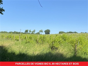 terrain à la vente -   32150  CAZAUBON, surface 0 m2 vente terrain - UBI476133749